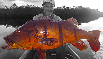 cedric et un peacock bass