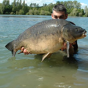 merci starbaits